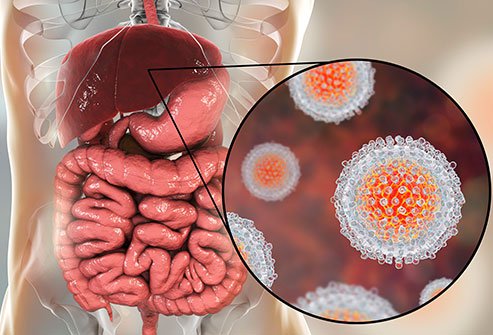 Penyakit Hepatitis A, B dan C - Tips Kesihatan