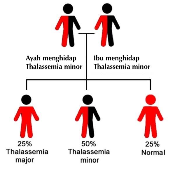 Anda boleh mengetahui status thalassaemia melalui